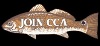 cca cca
